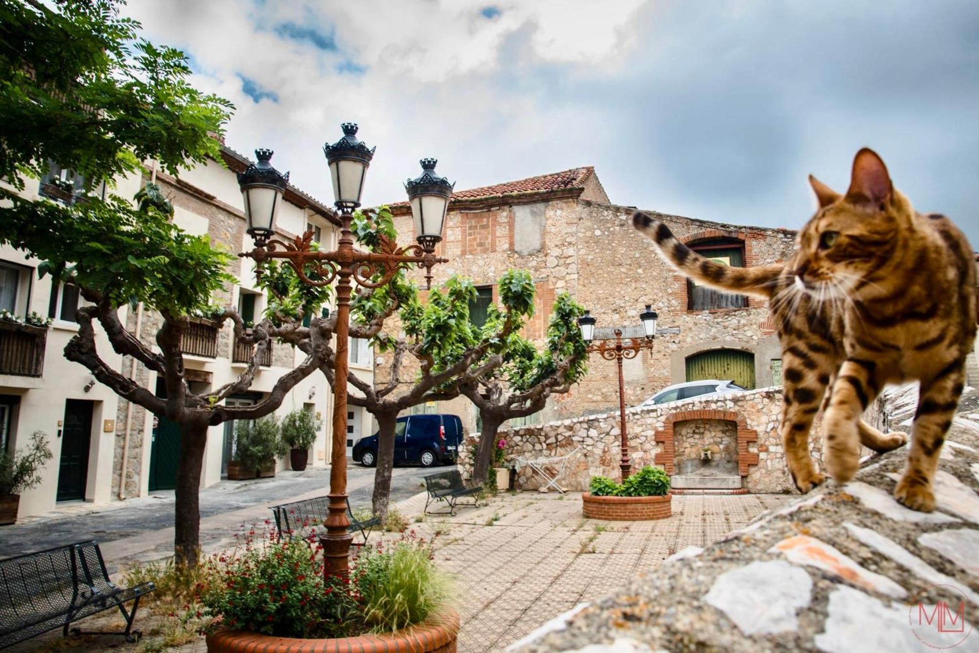 Origines Hotel Tautavel Kültér fotó